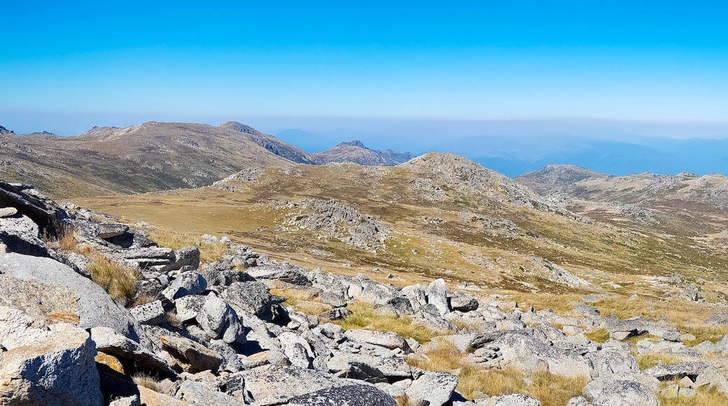 Monte Kosciuszko