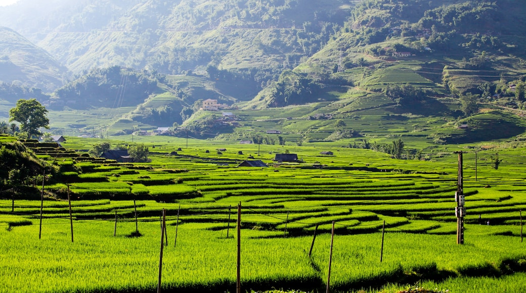 Lago de Sapa