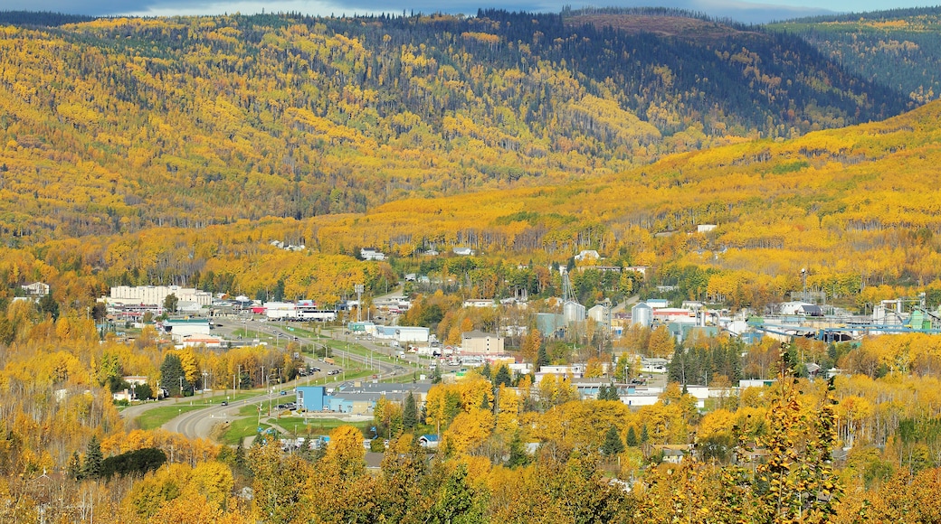 tourism chetwynd bc