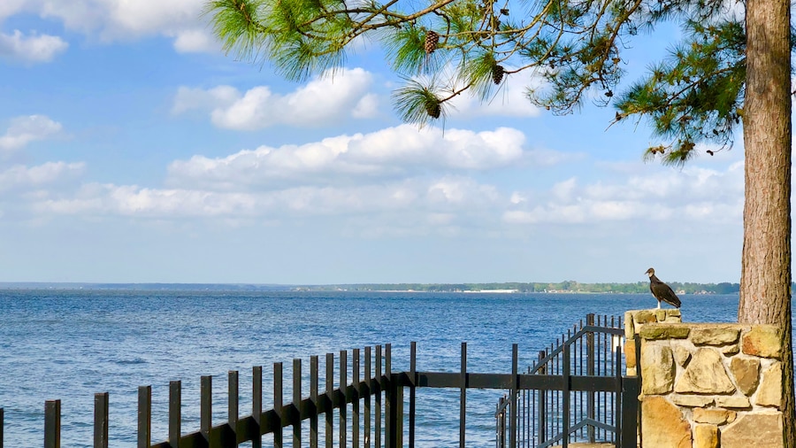 Lake Conroe