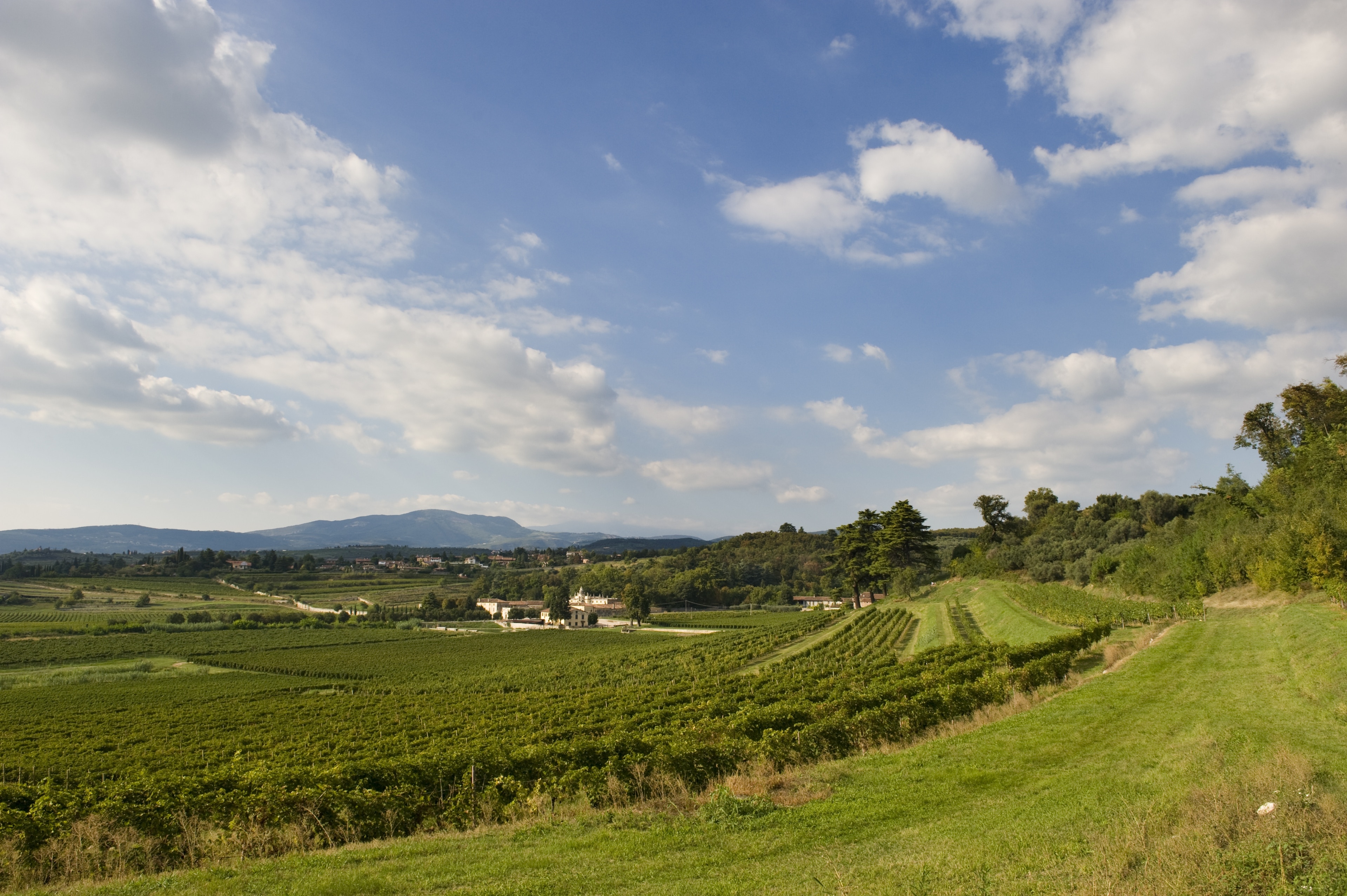 Reiseführer Grezzana 2024 das Beste in Grezzana entdecken Expedia.de