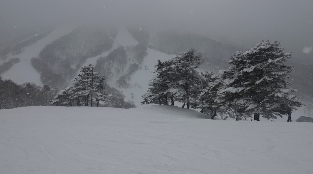 斑尾高原滑雪場