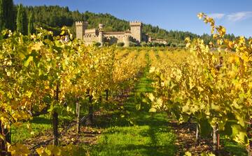 ダウンタウン ナパ ナパバレー ワイン トレイン周辺のホテル 宿泊予約 格安ホテル予約 最安値検索 ホテルズドットコム ダウンタウン ナパ ナパバレー ワイン トレイン周辺のホテル 宿泊予約 格安ホテル予約 最安値検索 ホテルズドットコム