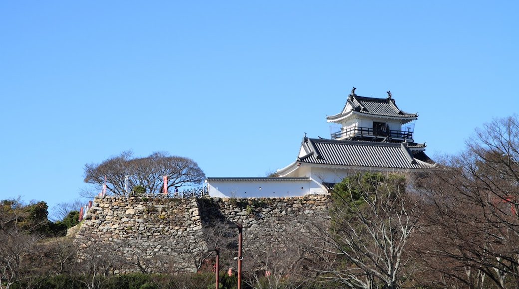 Lâu đài Hamamatsu