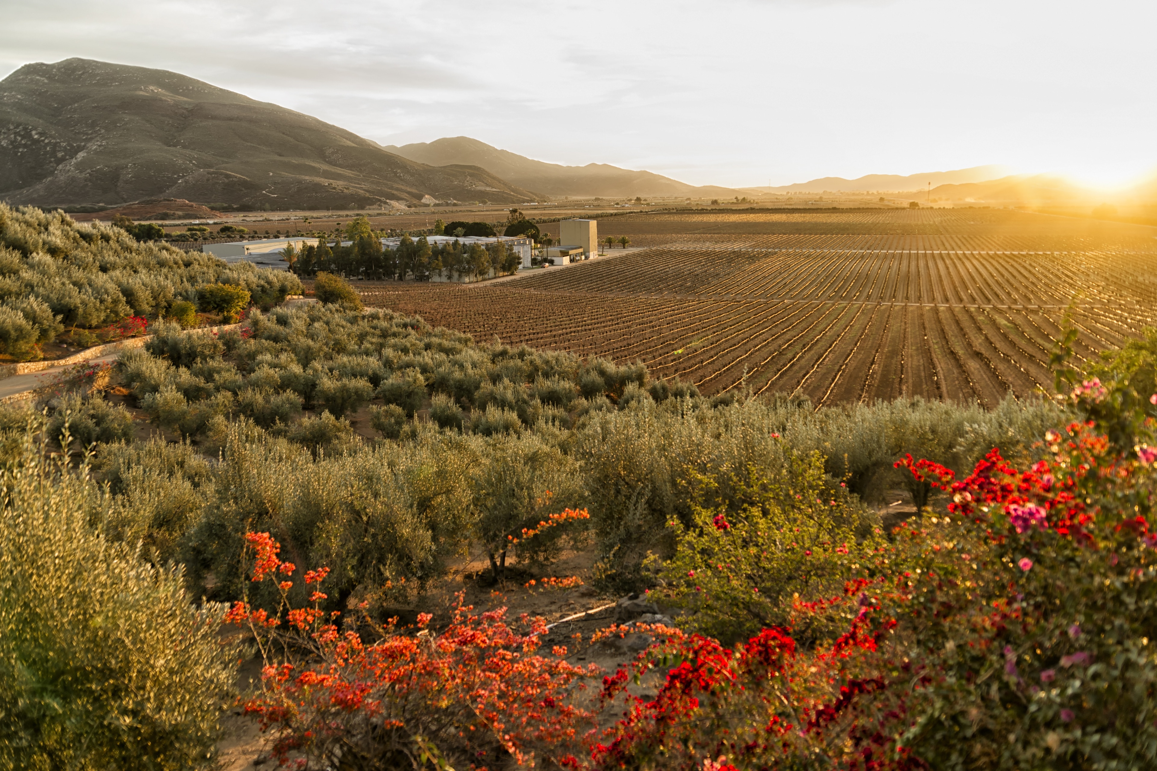 Valle de Guadalupe, MX Vacation Rentals: house rentals & more | Vrbo