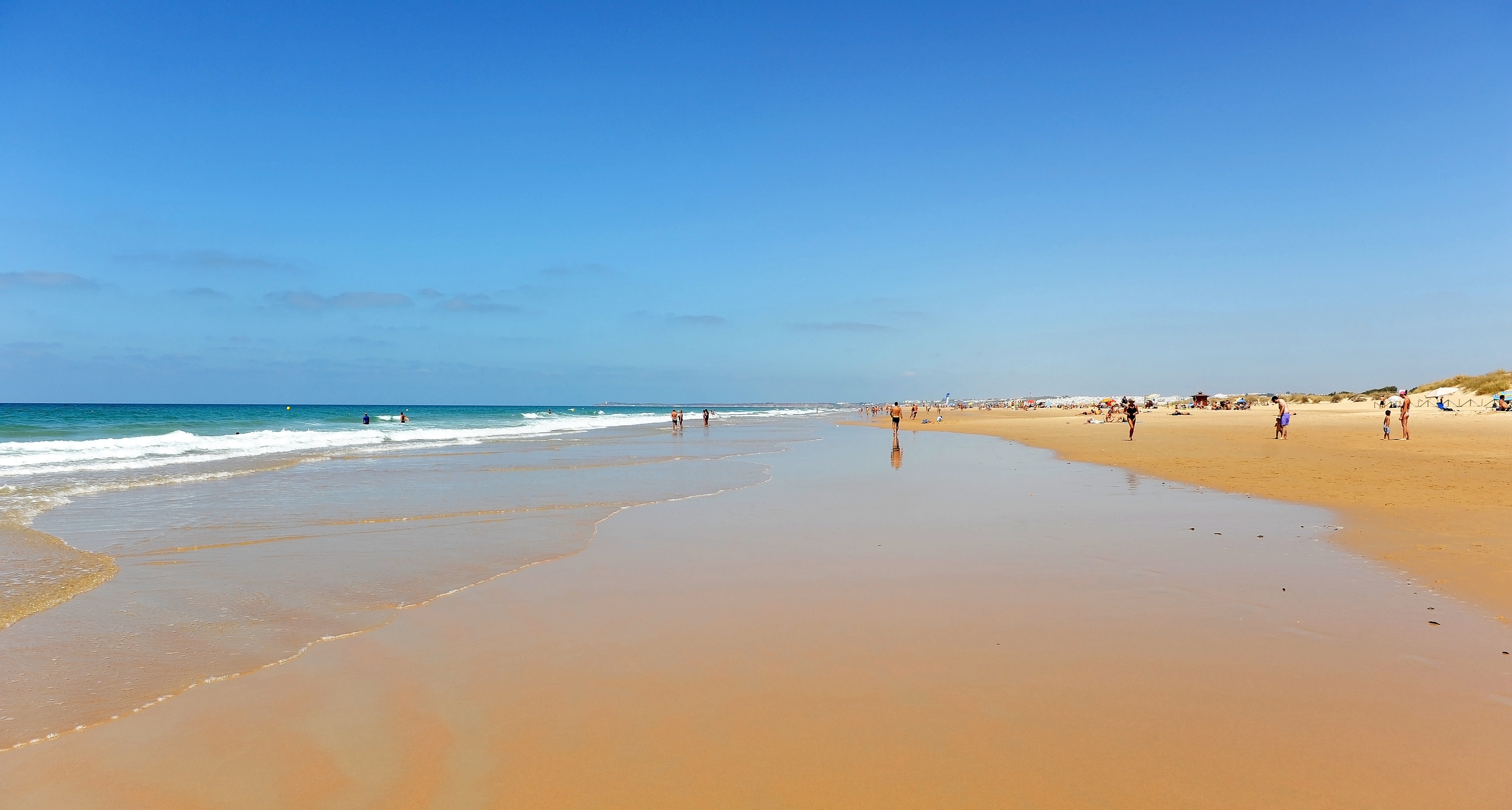 Playas de Conil  Guía de Cádiz