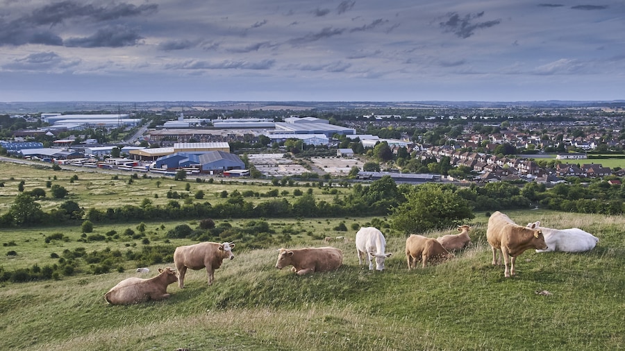 Luton Mall