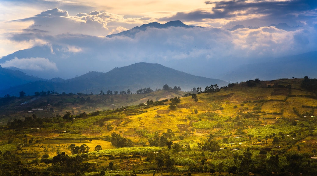 Western Uganda National Parks