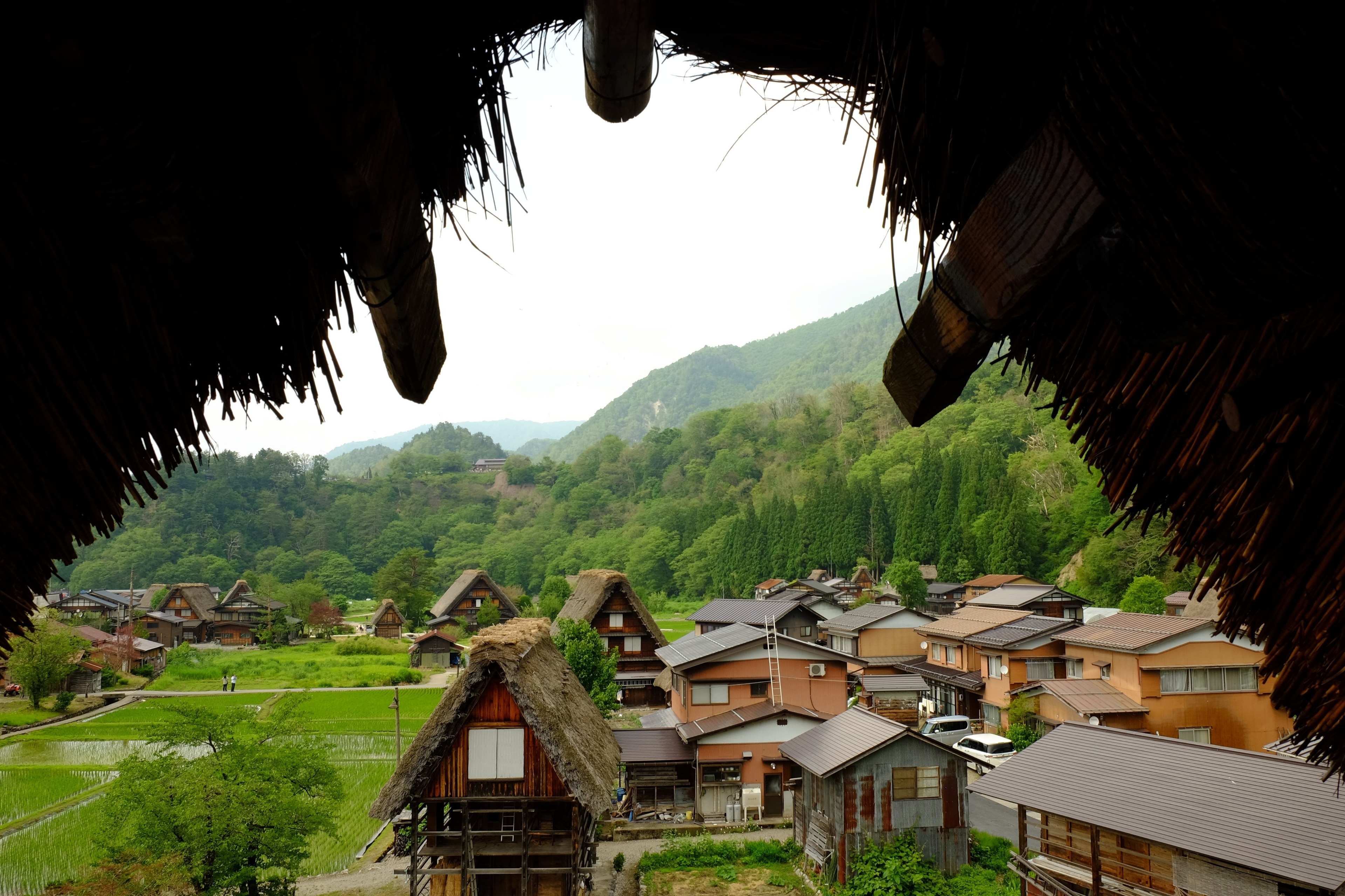 Visit Shirakawa: 2023 Travel Guide for Shirakawa, Gifu Prefecture