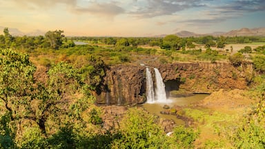 ethiopia tourism packages