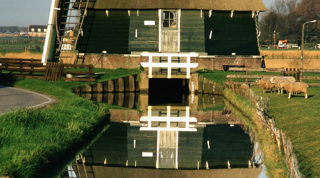 Volendam, ฮอล์แลนด์เหนือ, เนเธอร์แลนด์