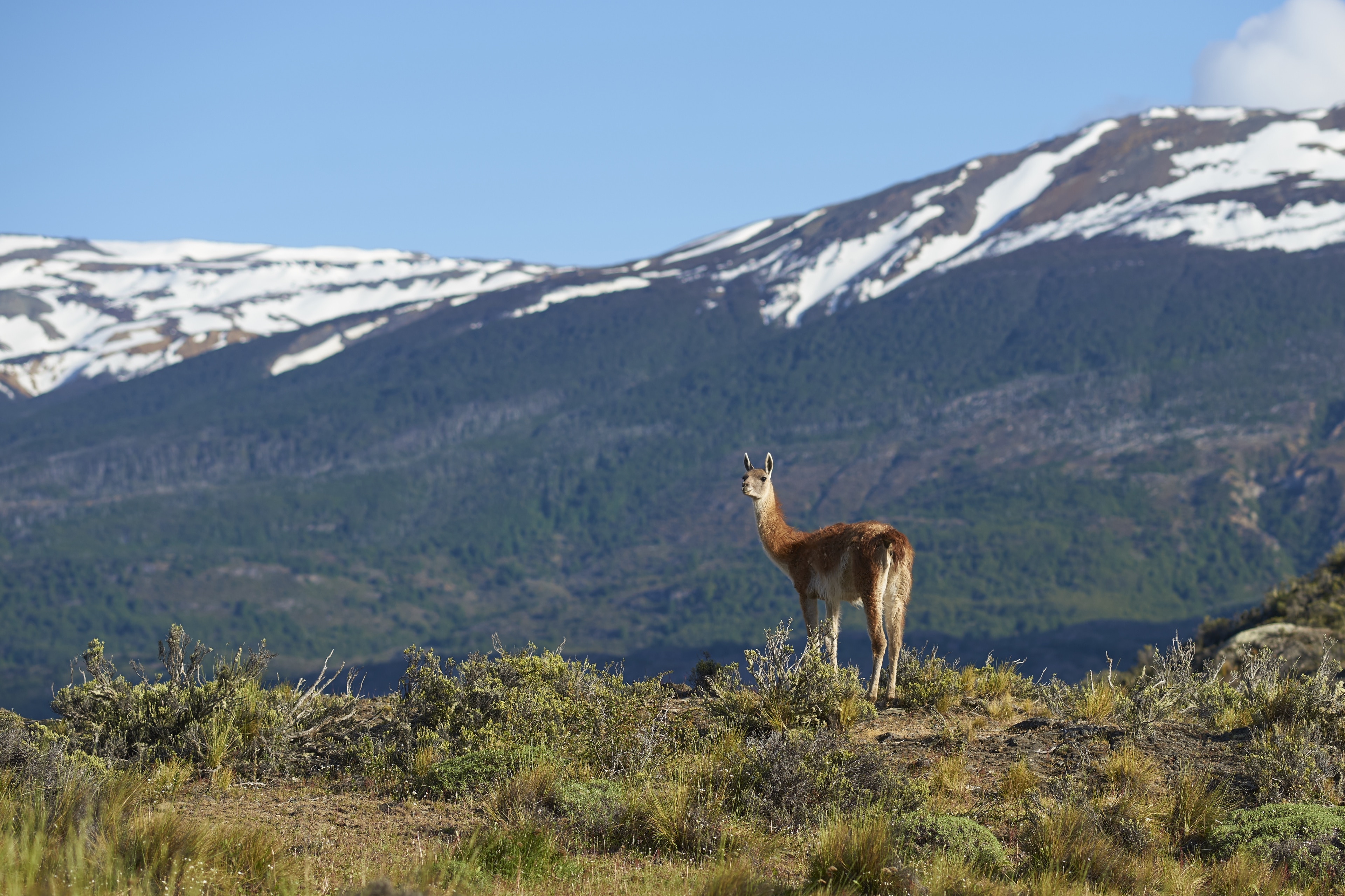 2 - Da Província de Buenos Aires à Patagonia - De Carro Pelo Mundo