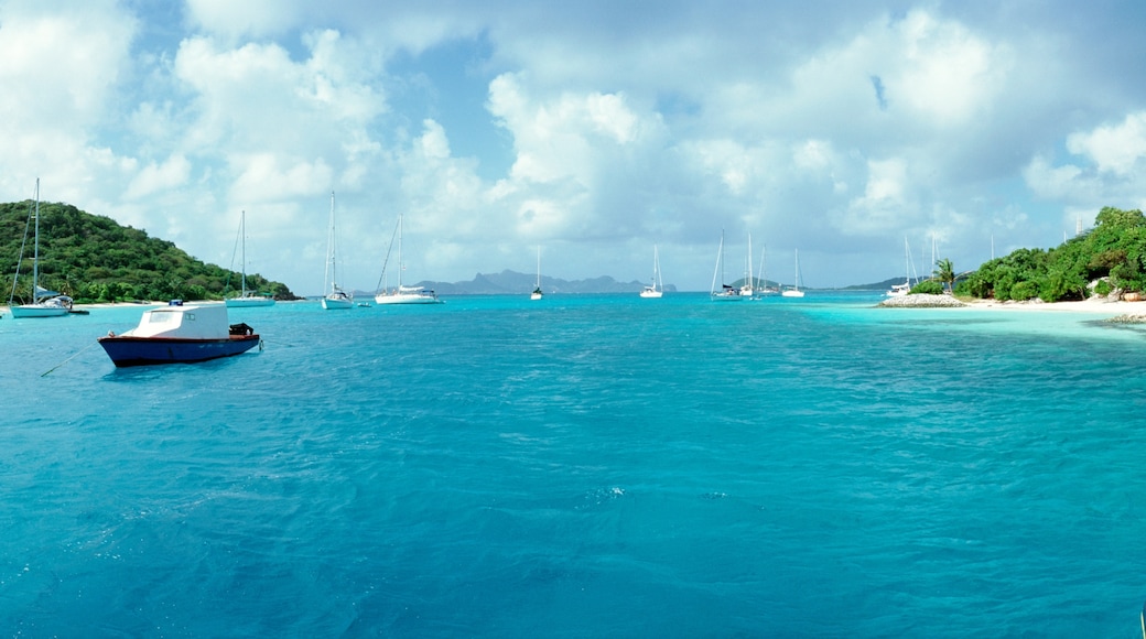 Tobago Cays