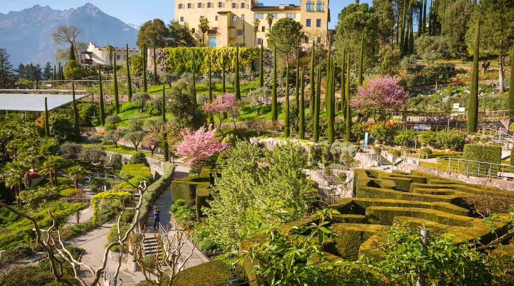Trauttmansdorff kastélykert, Merano, Trentino – Alto Adige, Olaszország
