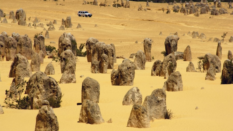 The Pinnacles