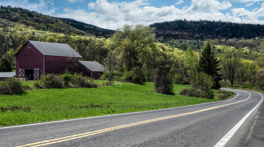 Catskill State Park