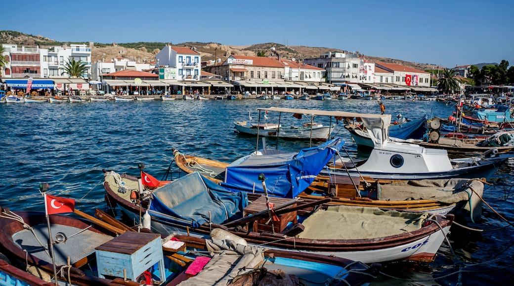 Foça