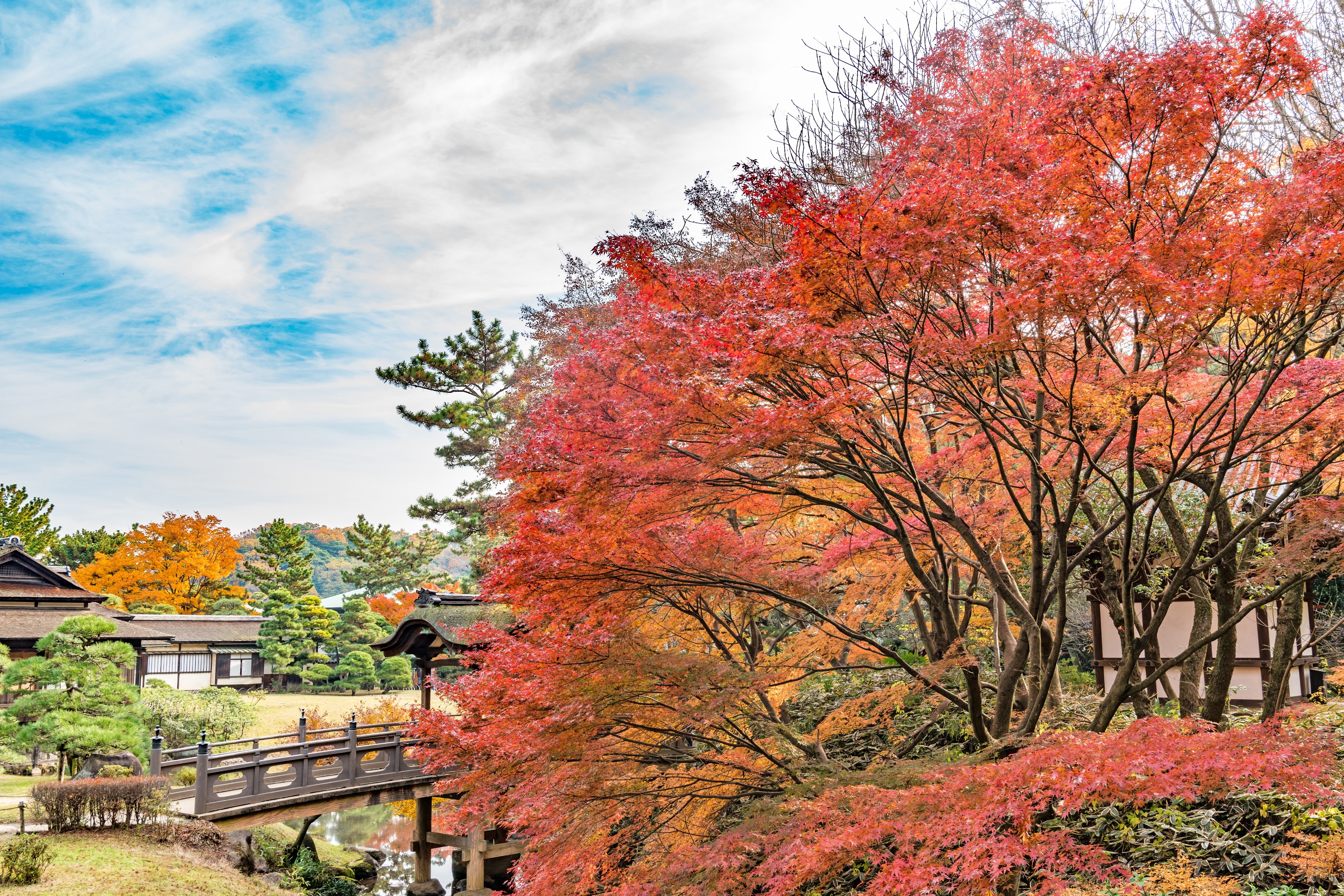 Sankei-en Garden