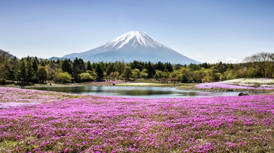 小山