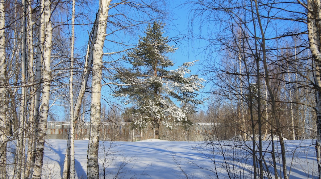 Kostamuksen kaupunkipiiri