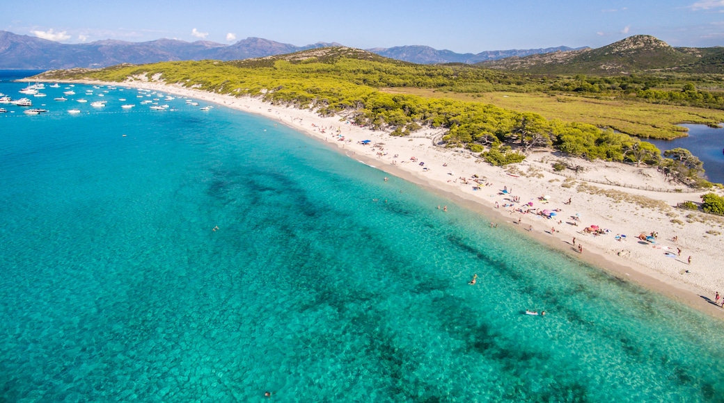 Plage de Saleccia