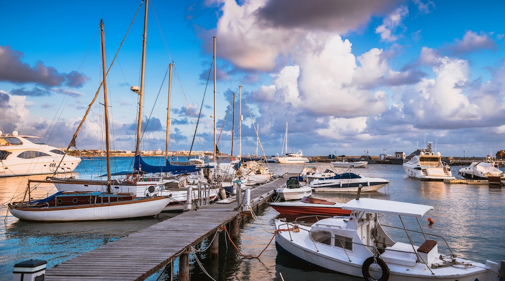 Limassol Marina