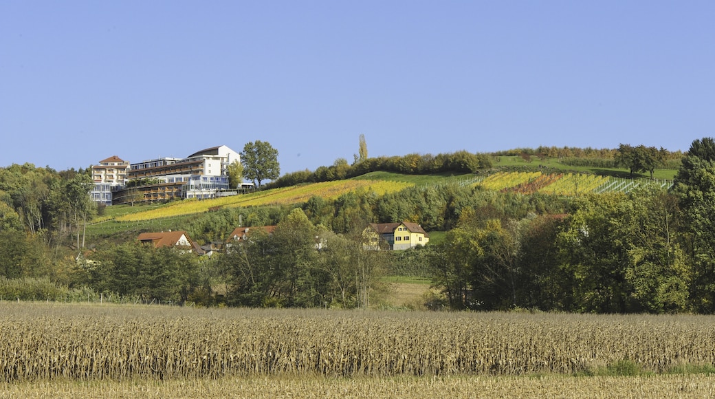 Hartberg-fürstenfeldi járás, Stájerország, Ausztria
