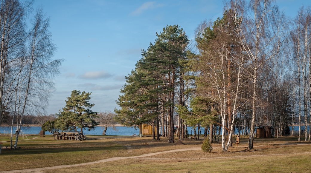 Kawasan Voru, Estonia
