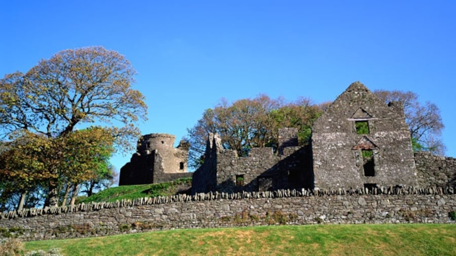 Dundrum Castle