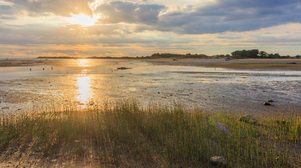 Foxton Beach