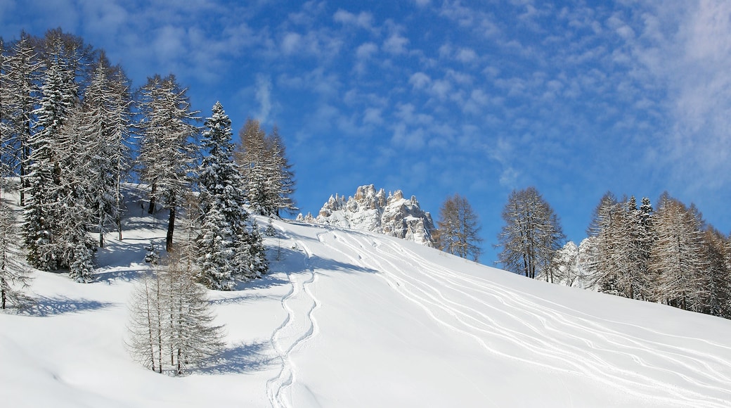 Naturpark Drei Zinnen