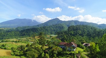 Bogor Tengah, Μπογκόρ, Δυτική Ιάβα, Ινδονησία