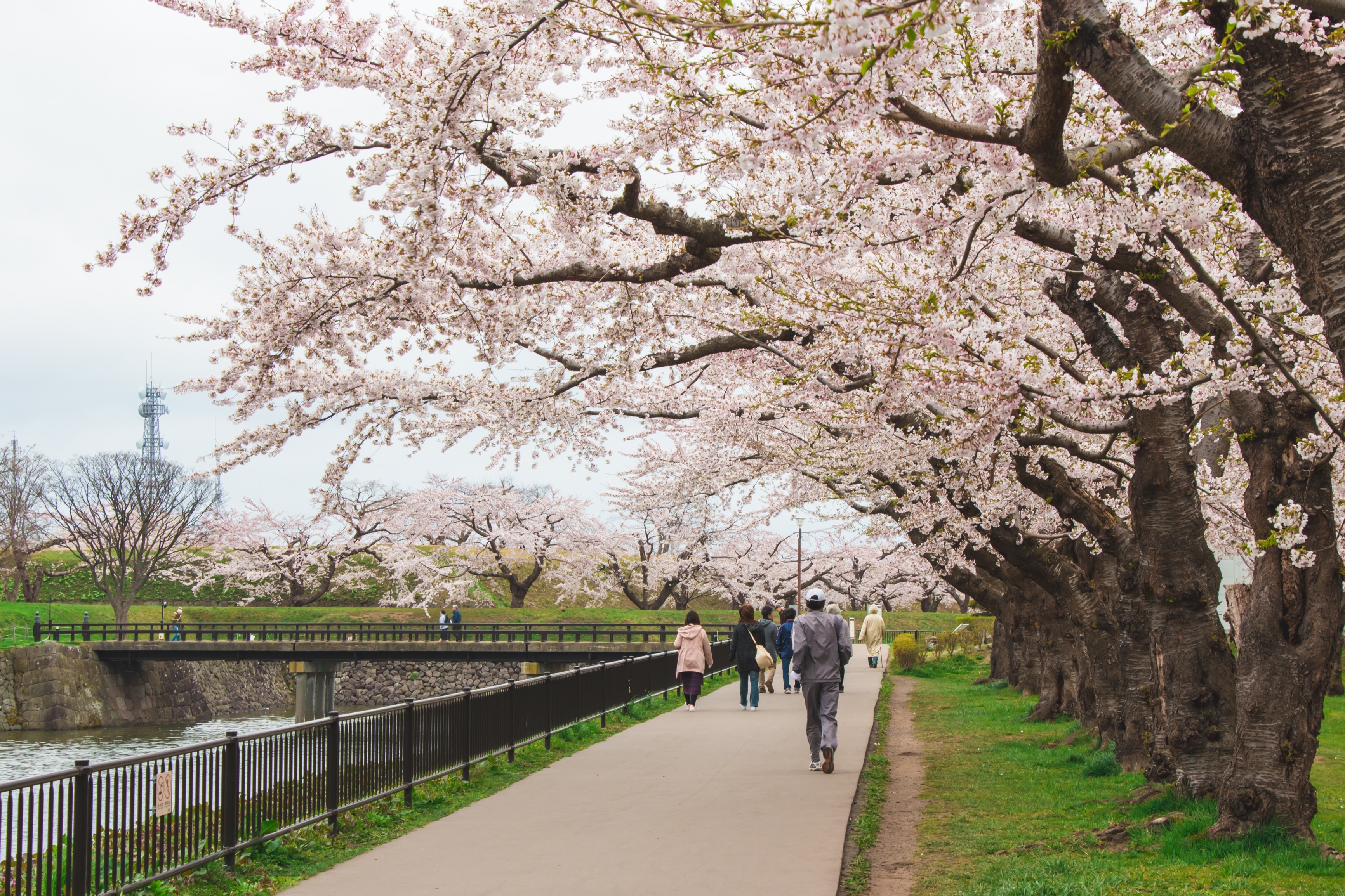 Hakodate, Hokkaidō, Japon