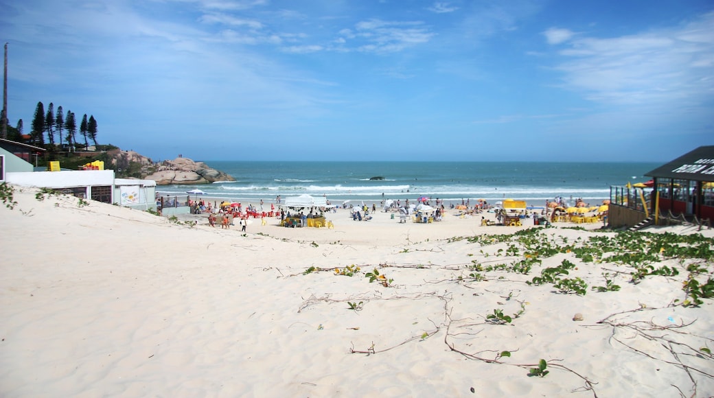 Joaquina Beach, Santa Catarina, Brazil