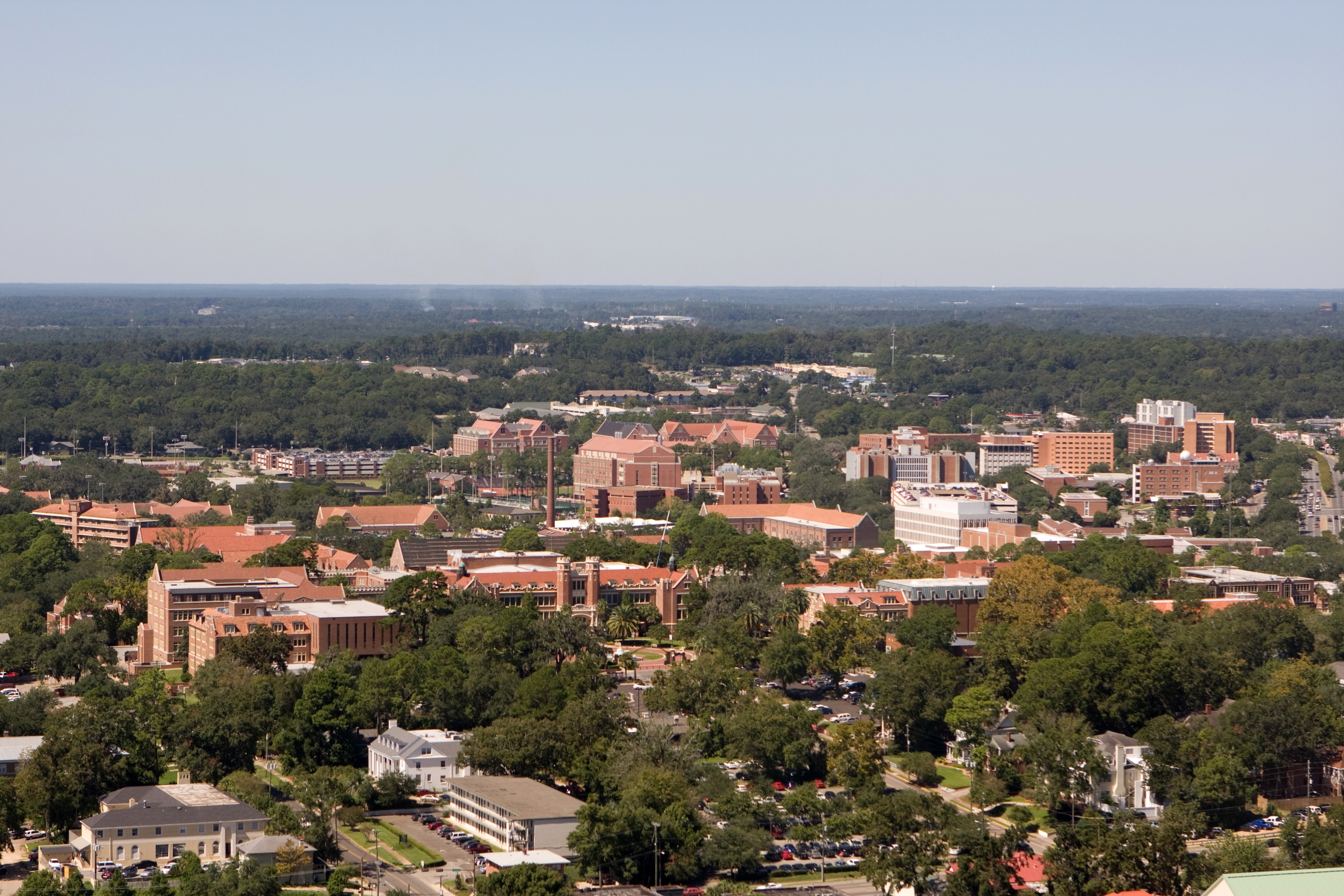 Things to Do in Tallahassee in 2024 | Expedia