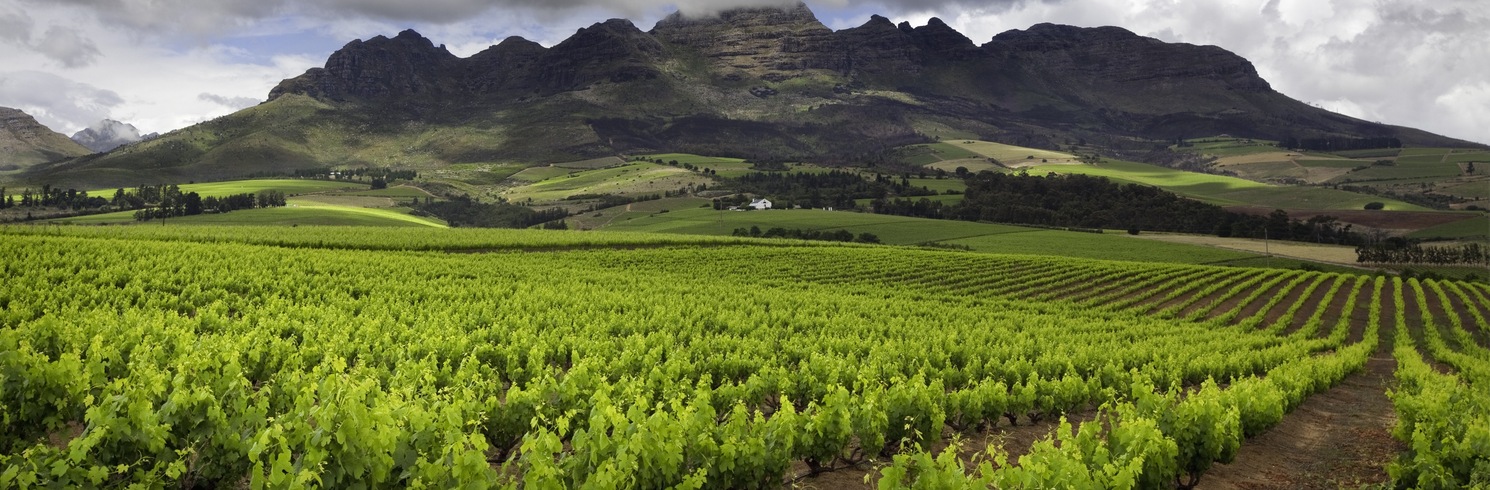 Le Cap, Afrique du Sud