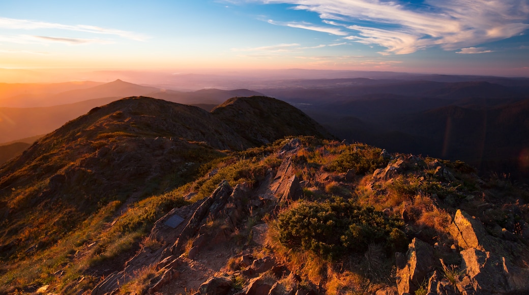 Summit