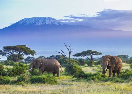 Nairobi Central, Kenia