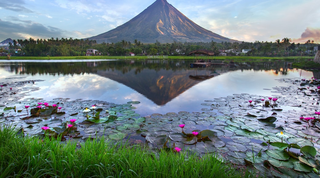 Mayon Volcano, Malilipot, Bicol, Philippines