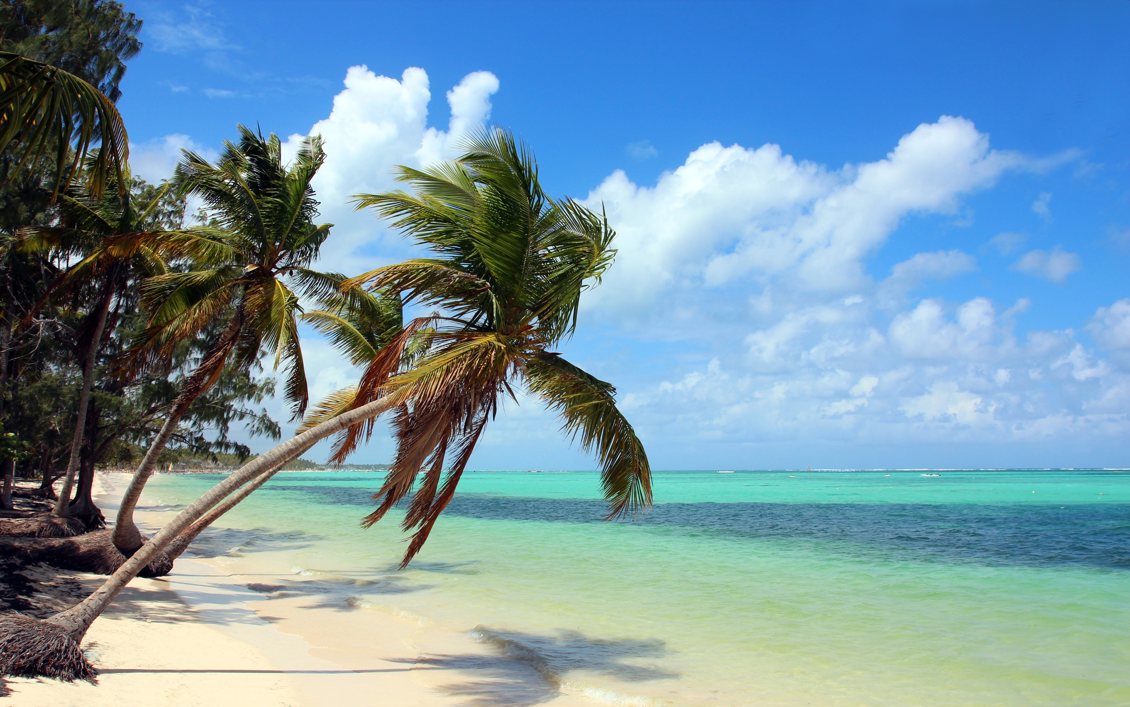 Profitez de votre séjour à Punta Cana pour vous détendre au bord de l'eau lors d'un détour par Plage de Bávaro.Ce lieu reposant fera le bonheur des amoureux de promenade qui pourront se balader le long de son bord de mer, mais aussi des gourmands grâce à ses bars. 