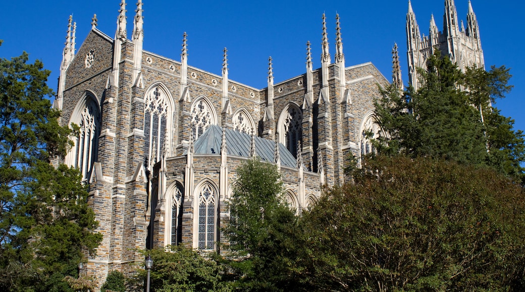 Duke University (yliopisto), Durham, Pohjois-Carolina, Yhdysvallat