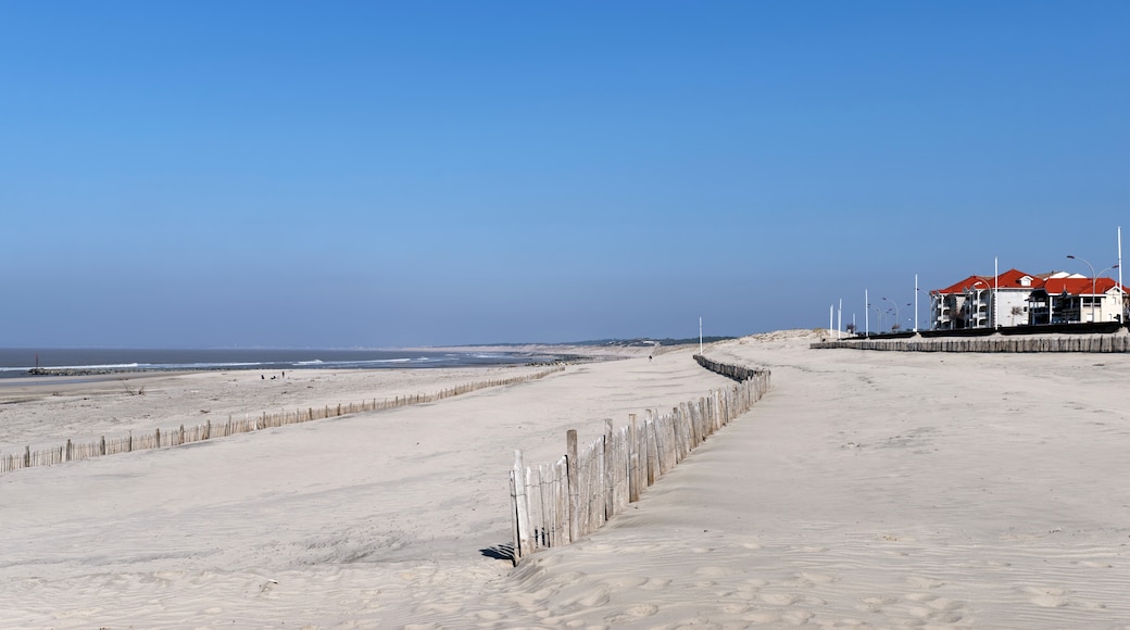 อุทยานธรรมชาติภูมิภาค Médoc