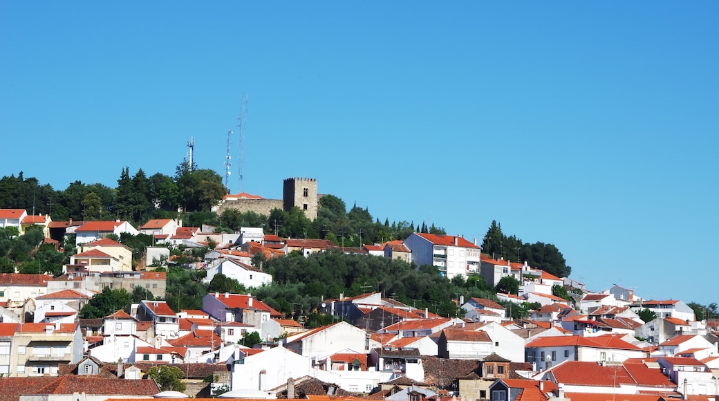 Castelo Branco, Distrito de Castelo Branco, Portugal