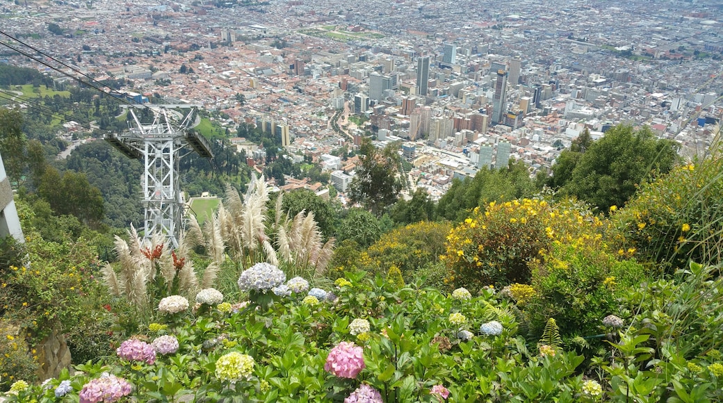 Bogotá, Colombia (BOG-El Dorado Intl.)