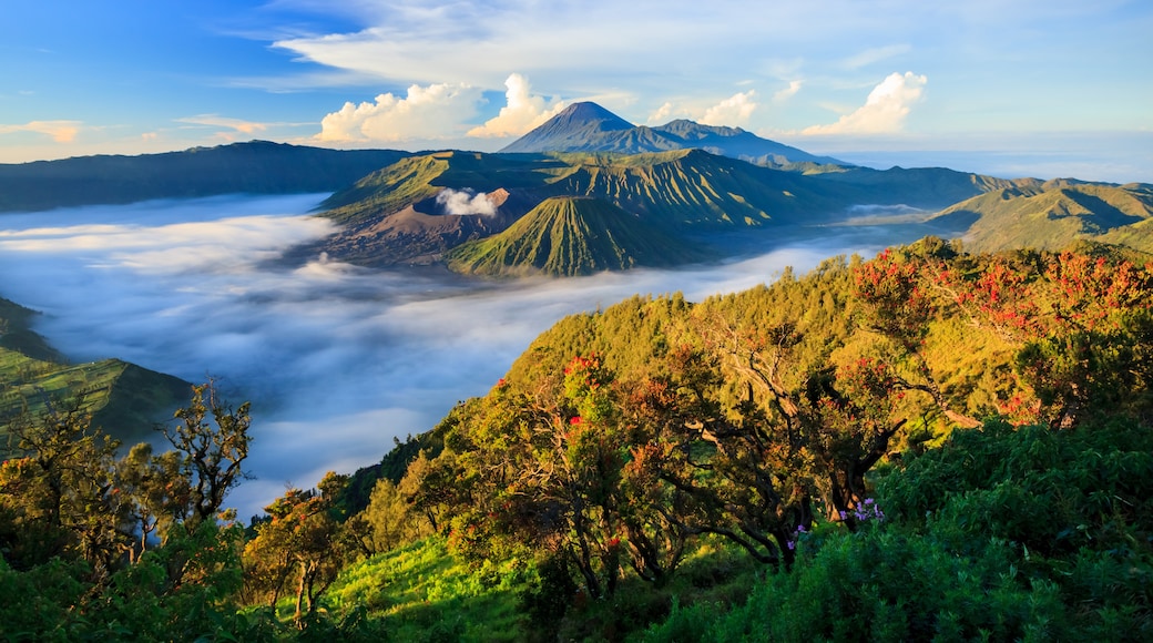 Gunung Bromo, Wonokitri, Jawa Timur, Indonesia