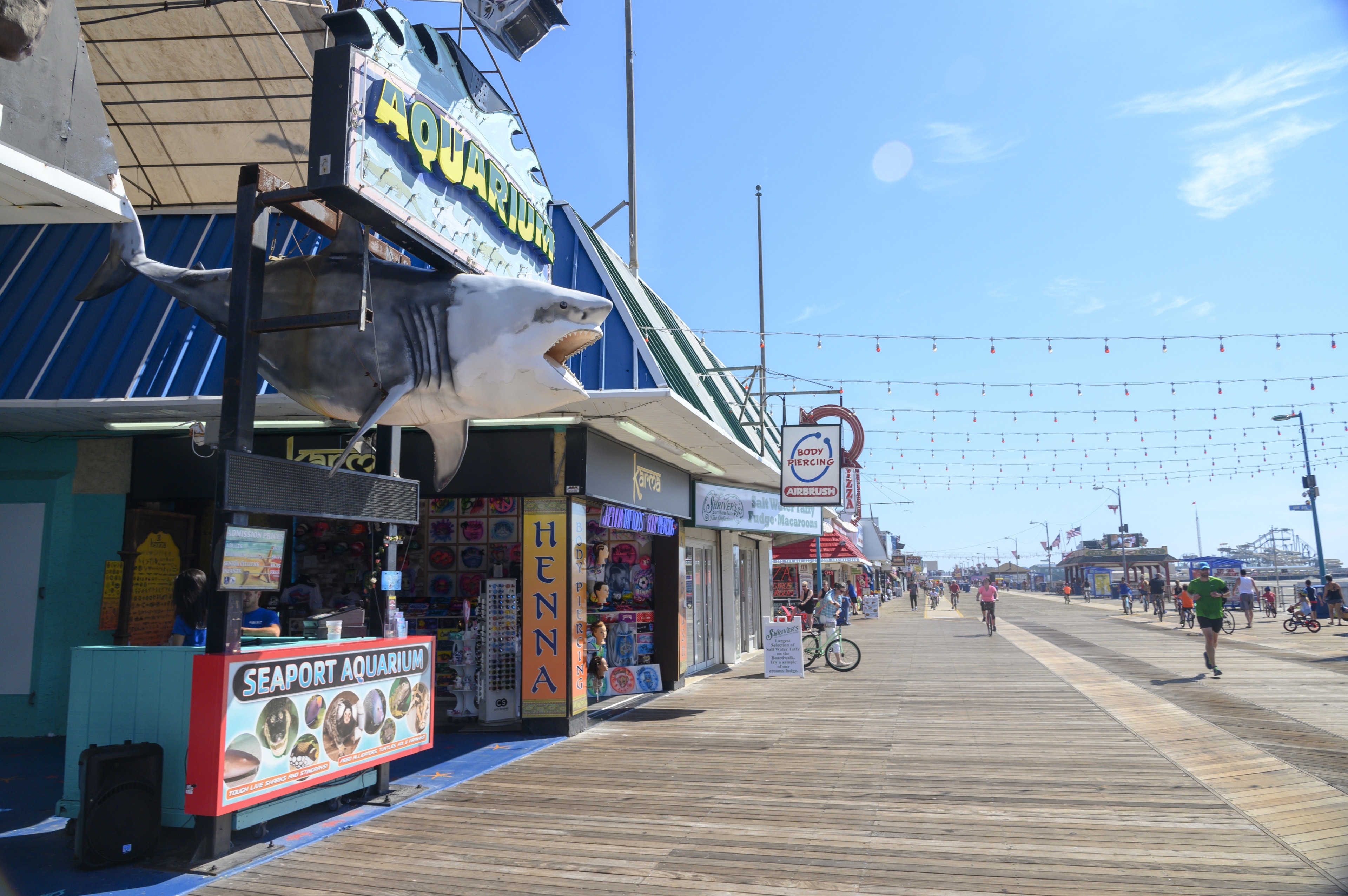 are dogs allowed on cape may boardwalk