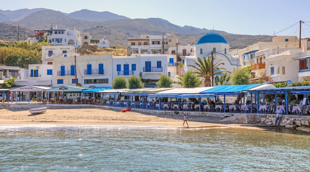 Naxos stad