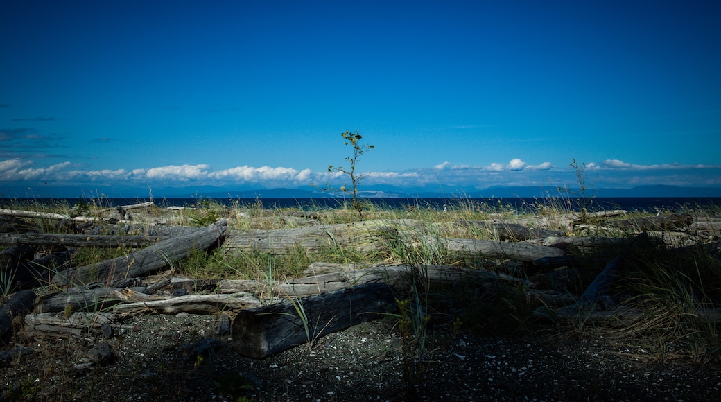 Denman Island