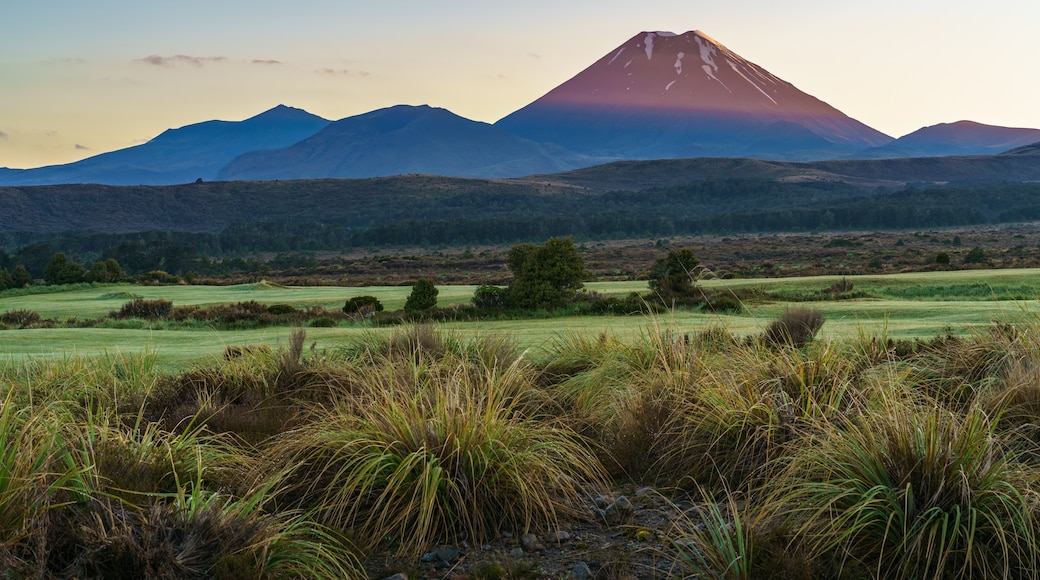 Mount Ngauruhoe