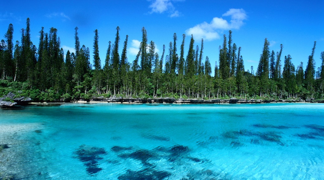 L'Île-des-Pins, Sud, Ny-Caledonia